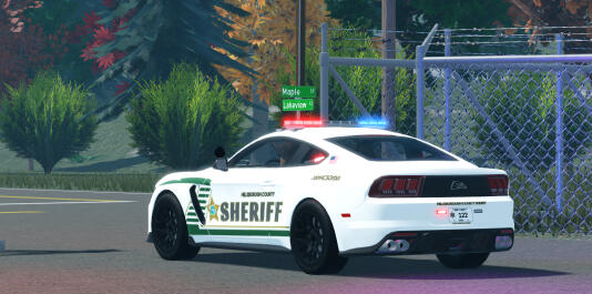 Tampa Sheriffs Tampa Sheriffs